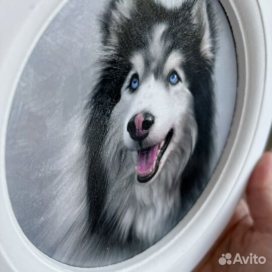 Картина Собака Хаски