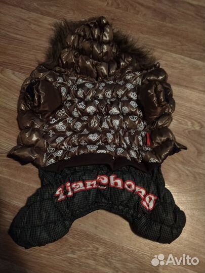 Одежда для собак мелких пород