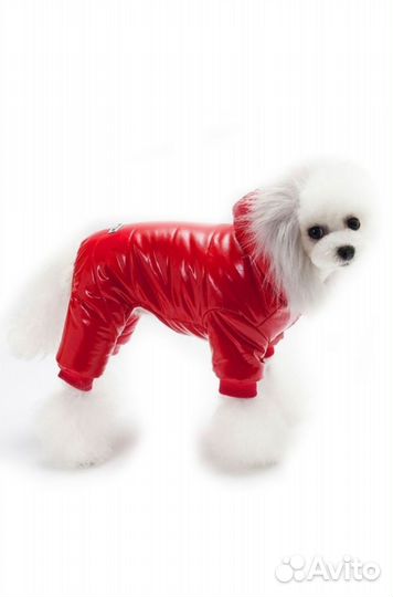 Куртка для собак