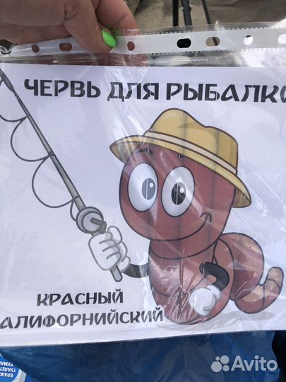 Червь для рыбалки