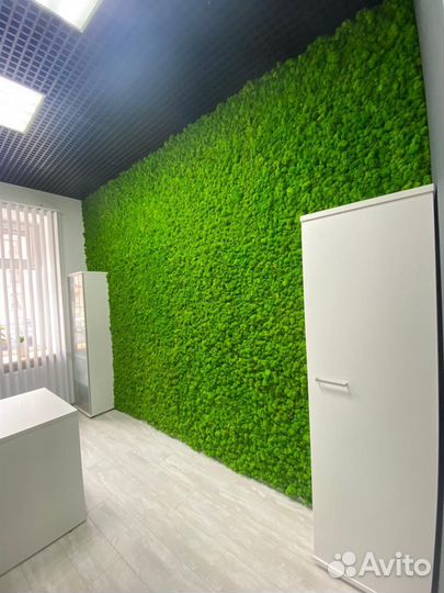 Стены из мха для естественного уюта Арт: 214261