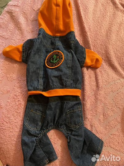 Вещи для собак