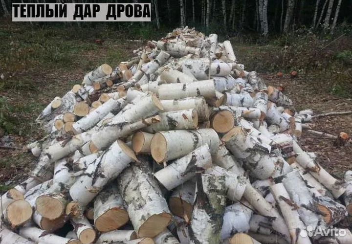 Дрова