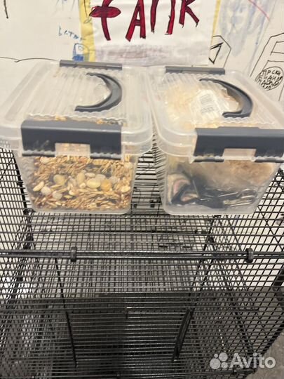 Клетки для грызунов крыс