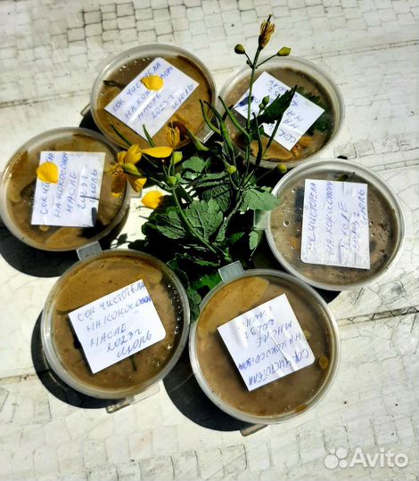 Мазь от псориаза