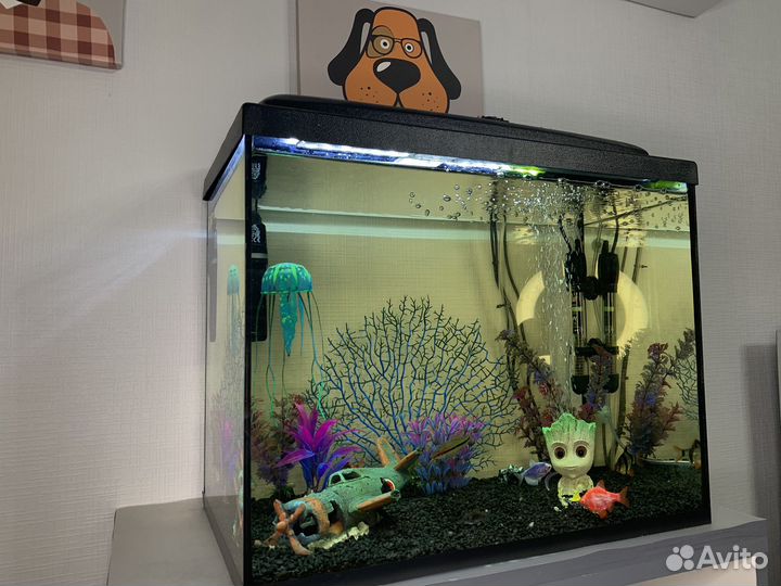Аквариум 60л с рыбками и комплектом оборудования