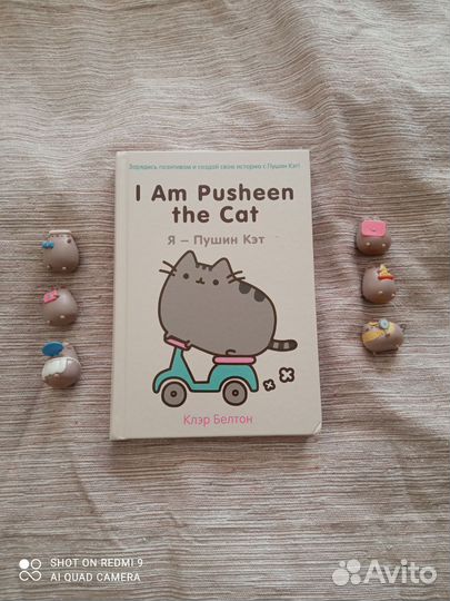 Пушин Кэт книга и фигурки Pusheen