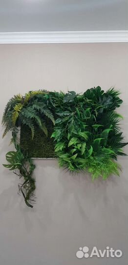 Фитокартина из искуссьвенных растений