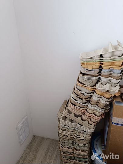 Лотки для яиц