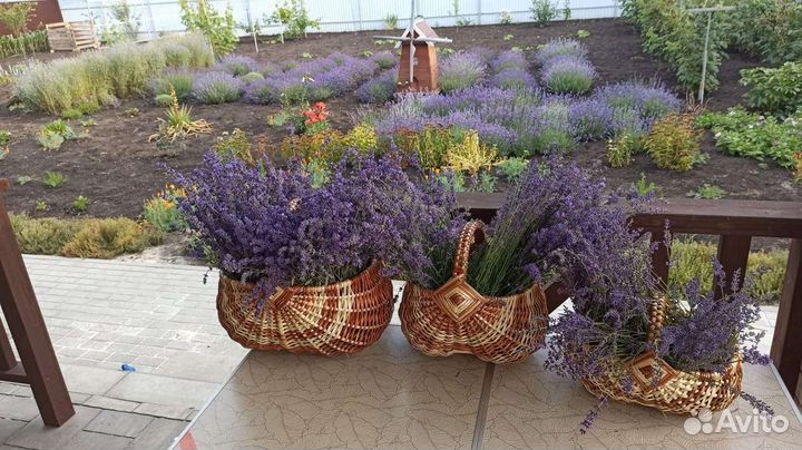 Корзины плетеные из лозы