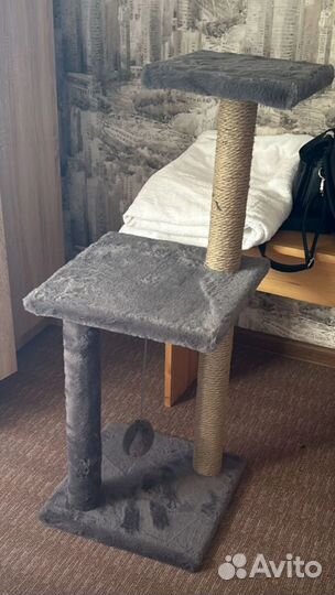 Когтеточка