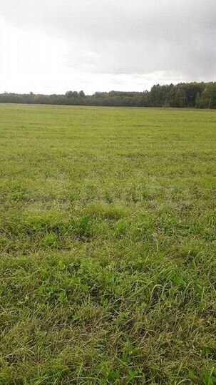 Участок 12 сот. (ИЖС)