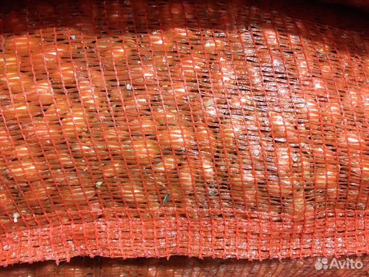 Геркулес (Голландия)