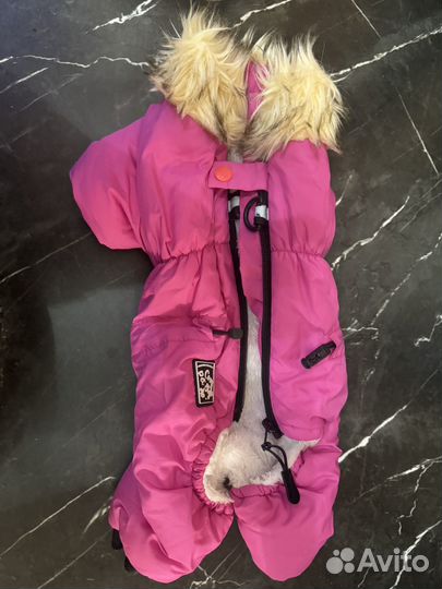 Одежда для собак мелких пород