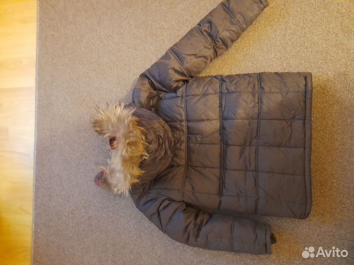 Зимняя куртка