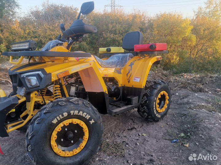 Motoland (мотоленд) 200 track X winch