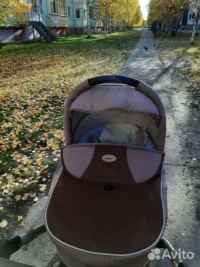 Коляска 2 в 1