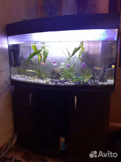 Аквариум 240 л