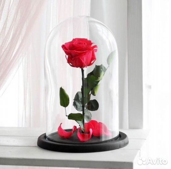 Роза в колбе. Неувядающая