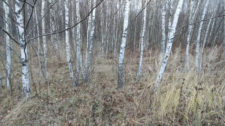 Участок 23,17 га (СНТ, ДНП)