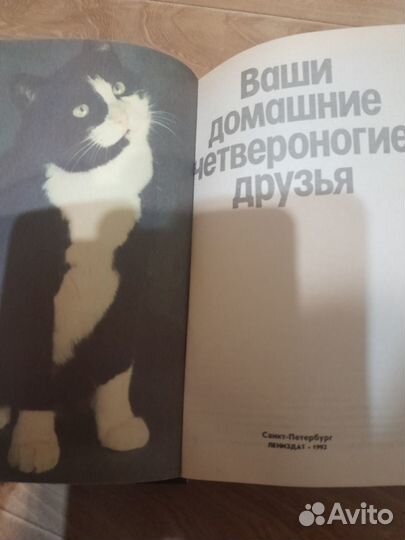Книга Ваши четвероногие друзья