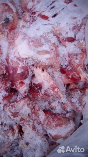 Мясо для собак