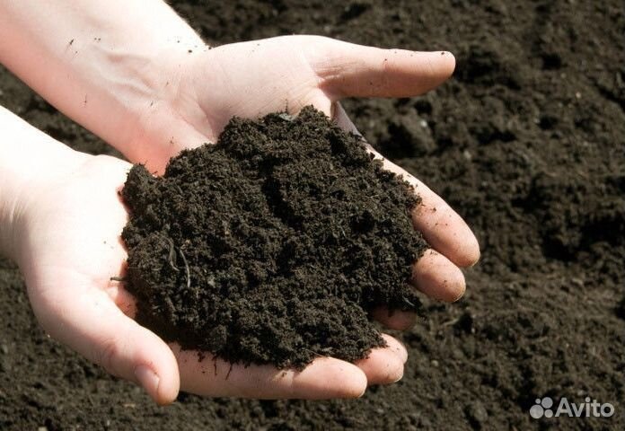 Земля плодородная