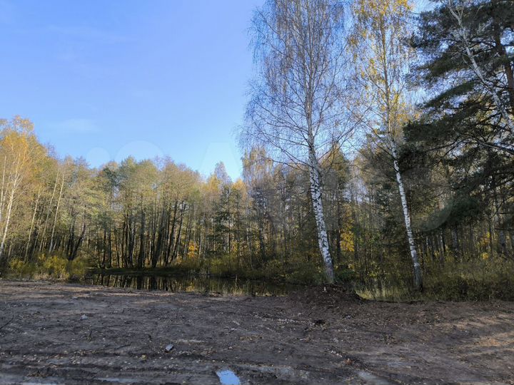 Участок 18,6 сот. (ИЖС)