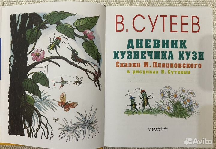 Сказки в картинках Сутеева, дневник кузнечика Кузи