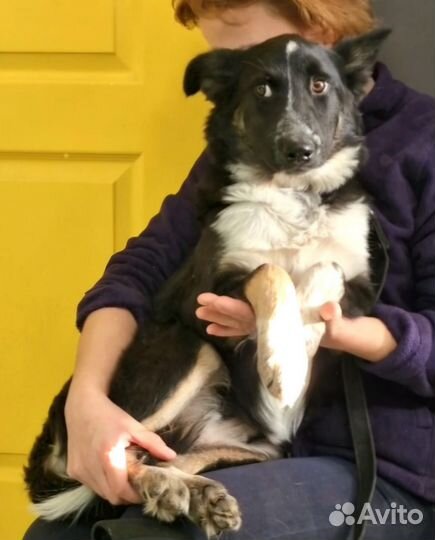 Отдадим малышку в заботливые руки