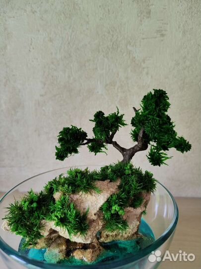 Моссариум Флорариум цветы подарок