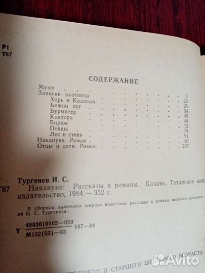 Тургенев Накануне