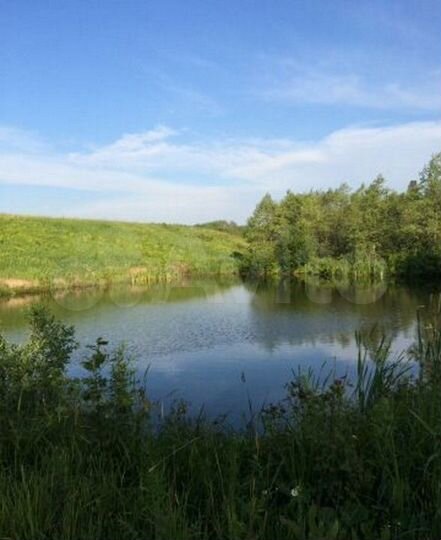 Участок 10 сот. (СНТ, ДНП)