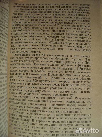 Беседы о лесе. Маленькие труженики леса