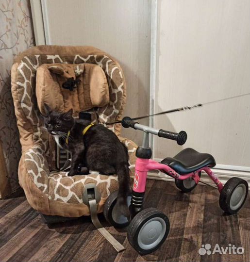 Детское авто кресло