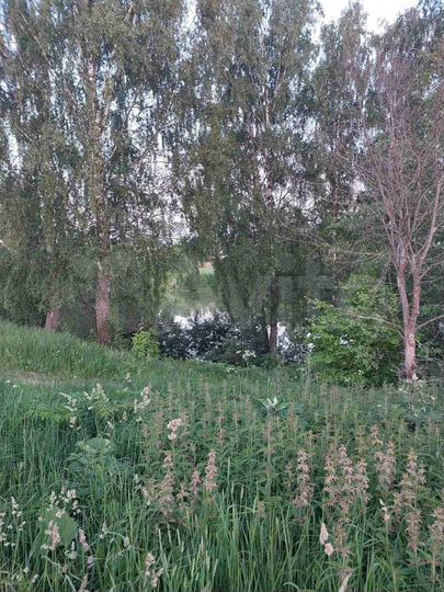 Участок 15 сот. (ИЖС)