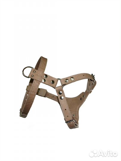 Шлейка Аркон натуральная кожа, ширина 2,5 см