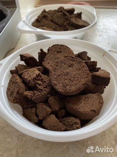 Удобрение кофейная гуща