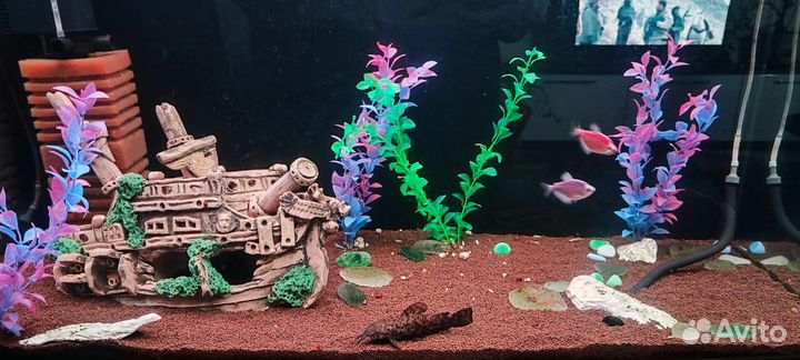 Аквариум с тумбой 145 литров