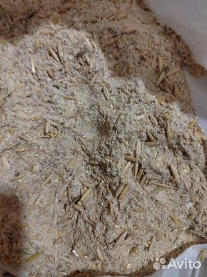 Зерноотходы овёс, горох, ячмень