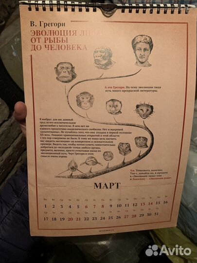 Сувенирный календарь развития Невзорова