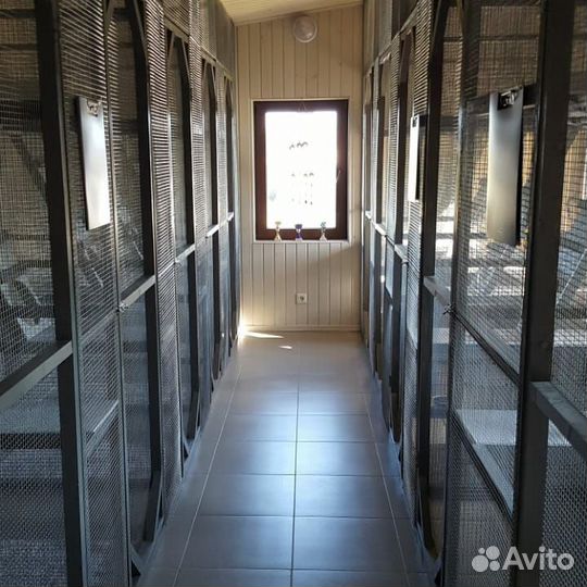 Отель для кошек