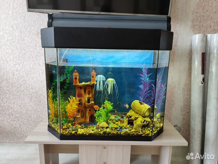 Аквариум с рыбками, всем содержимым и столиком