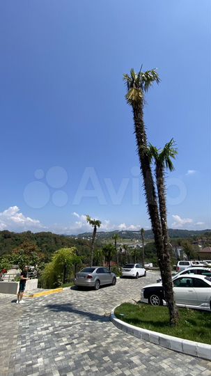 Квартира-студия, 18,3 м², 8/19 эт.