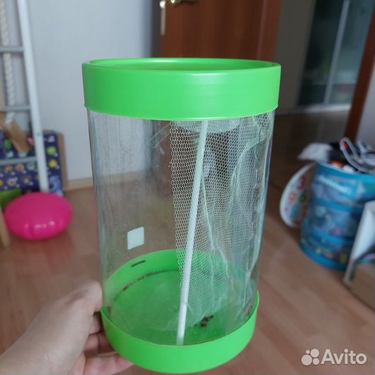 Ферма для выращивания бабочек