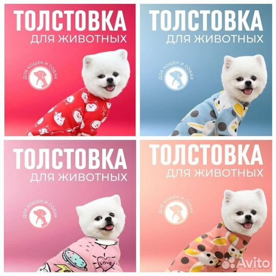 Одежда для животных новая