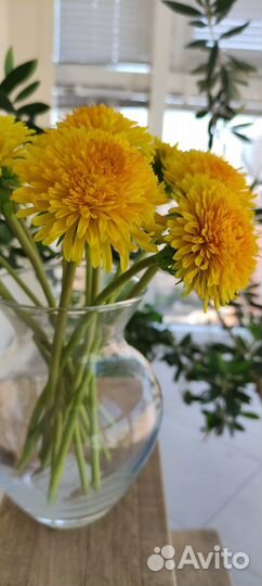 Одуванчики из полимерной глины