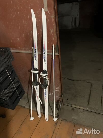 Беговые лыжи