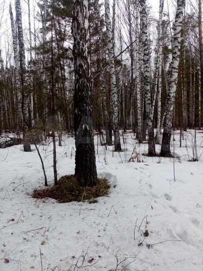 Участок 13 сот. (ИЖС)