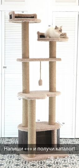 Когтеточка